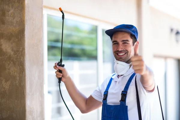 Cleburne Wasp Removal