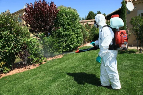Cleburne Mosquito Control