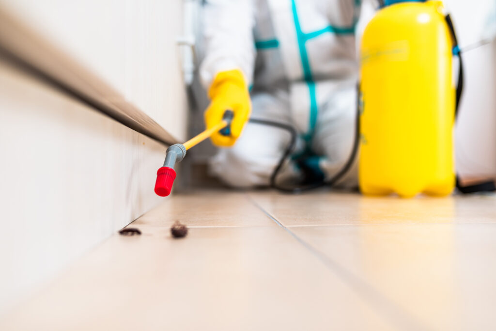Cleburne Cockroach Experts