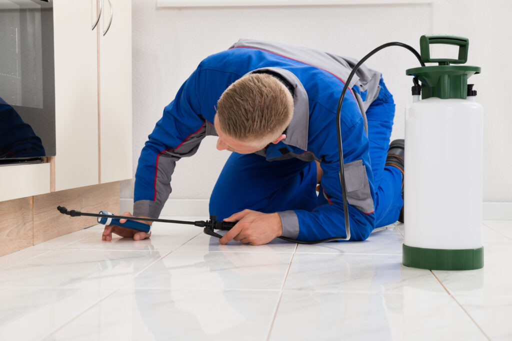 Cleburne Ant Control Xperts