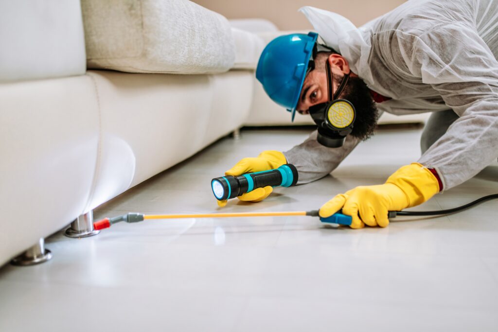 Cleburne Termite Control