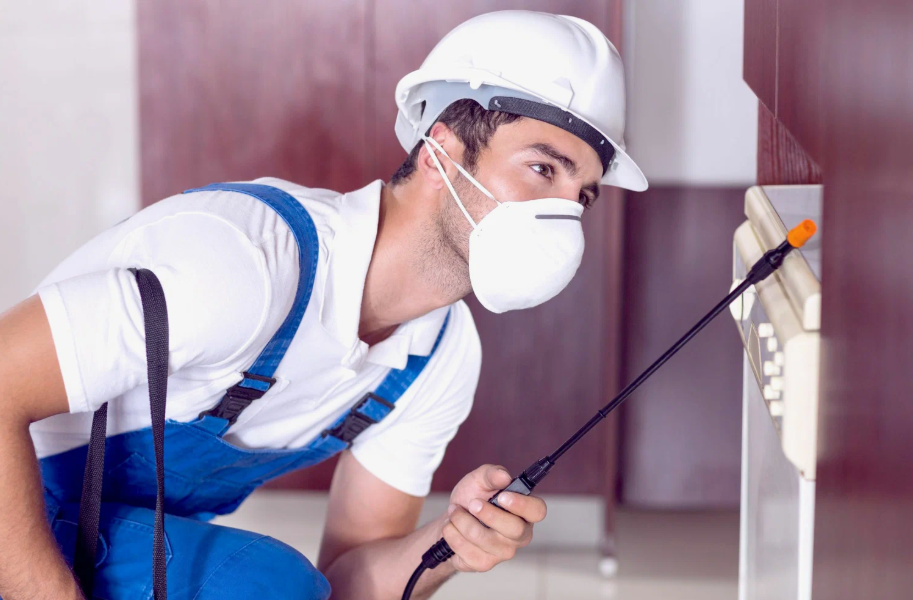 Cleburne local pest services